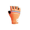 Bioracer team NL handschoenen